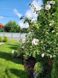 ������ �������� ������� ���� 9