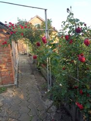 ��������� ������� ³�������, ³�����, �����������, ������� �� ���� 6