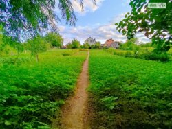 Продається цегляний будинок в с.Пирогово фото 12 Продається цегляний будинок в с.Пирогово фото 12