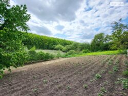 ������ 1- �� ����������� ������� ���� 6