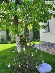 ������ �������� ������� ���� 11