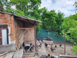 ������ 1- �� ����������� ������� ���� 12