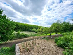 ������ 1- �� ����������� ������� ���� 5