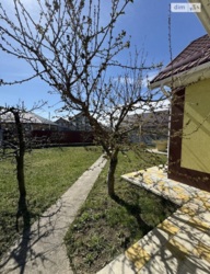 ������ ��������� �������������� ������� ���� 24