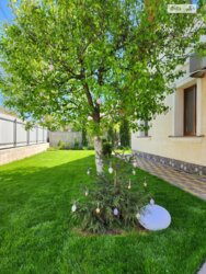 ������ �������� ������� ���� 13