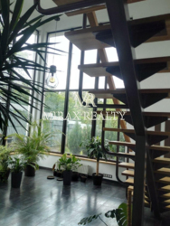 ������ ������� Hi-Tech 250 �2 ������ 6 ��� 1-� ������ ���������� ���� ��� ���� 17