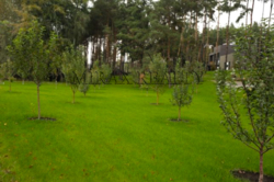 Продажа дома 832 м2 168 сот Таценки выход в р Стугна фото 17 Продажа дома 832 м2 168 сот Таценки выход в р Стугна фото 17