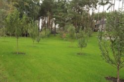 Продажа дома 832 м2 168 сот Таценки выход в р Стугна фото 8 Продажа дома 832 м2 168 сот Таценки выход в р Стугна фото 8