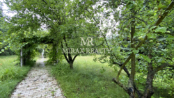 Продаж будинку 175 м2 ділянка 100 сот Вишеньки Золоче фото 11 Продаж будинку 175 м2 ділянка 100 сот Вишеньки Золоче фото 11