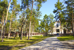 Дом 850 м2 участок 42 сотки в сосновом лесу в элитном КГ Козин Конча-Заспа фото 2 Дом 850 м2 участок 42 сотки в сосновом лесу в элитном КГ Козин Конча-Заспа фото 2