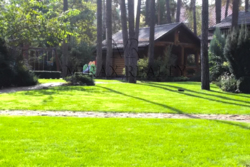 Продажа дома 190 м2 участок 40 сот в лесу Плюты фото 2 Продажа дома 190 м2 участок 40 сот в лесу Плюты фото 2