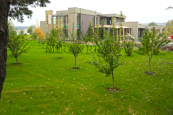 Продажа дома 832 м2 168 сот Таценки выход в р Стугна фото 16 Продажа дома 832 м2 168 сот Таценки выход в р Стугна фото 16