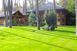 Продажа дома 190 м2 участок 40 сот в лесу Плюты фото 3 Продажа дома 190 м2 участок 40 сот в лесу Плюты фото 3