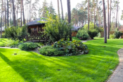 Продажа дома 190 м2 участок 40 сот в лесу Плюты фото 7 Продажа дома 190 м2 участок 40 сот в лесу Плюты фото 7