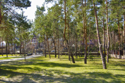 Дом 850 м2 участок 42 сотки в сосновом лесу в элитном КГ Козин Конча-Заспа фото 3 Дом 850 м2 участок 42 сотки в сосновом лесу в элитном КГ Козин Конча-Заспа фото 3