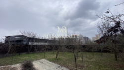 ������ ���������� ������� 305 �² �� �������. 10 �����. ����. ������. ���� 39