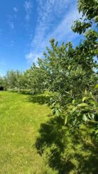 ��������� ������� ��������, ����������, ������� ���� 8