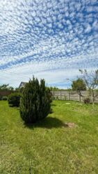 ��������� ������� ��������, ����������, ������� ���� 18