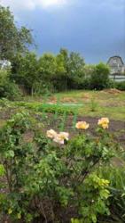 Пропонується до продажу частина будинку Більшовик, район школи. фото 7 Пропонується до продажу частина будинку Більшовик, район школи. фото 7
