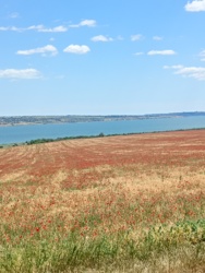 Продається дача з участком 6 соток. фото 11 Продається дача з участком 6 соток. фото 11