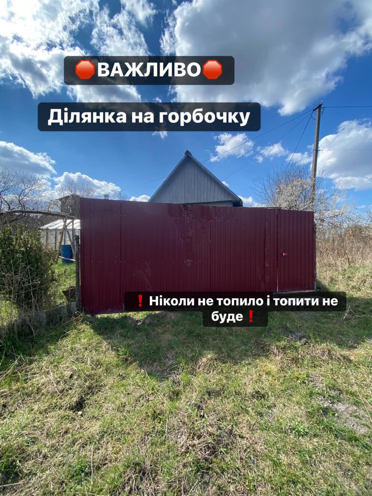 ��������� ������� ����� ����, ����������, ����������, �������� ���� 1