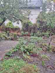 ���� �� ������� ������ ���� 12