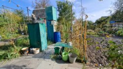 Продаж дачі С/Т Роднічьок Жавинка фото 2 Продаж дачі С/Т Роднічьок Жавинка фото 2