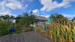 Продаж дачі С/Т Роднічьок Жавинка фото 7 Продаж дачі С/Т Роднічьок Жавинка фото 7