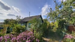 Продаж дачі С/Т Роднічьок Жавинка фото 1 Продаж дачі С/Т Роднічьок Жавинка фото 1