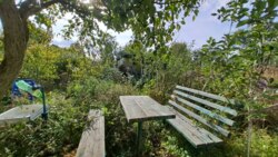 Продаж дачі С/Т Роднічьок Жавинка фото 3 Продаж дачі С/Т Роднічьок Жавинка фото 3