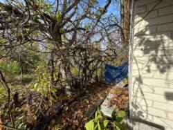 Продаж Дача Жавинка СТ Комунальник фото 7 Продаж Дача Жавинка СТ Комунальник фото 7