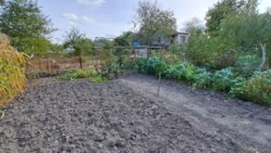 Продаж дачі С/Т Роднічьок Жавинка фото 11 Продаж дачі С/Т Роднічьок Жавинка фото 11