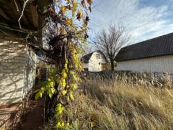 Продаж Дача Жавинка СТ Комунальник фото 6 Продаж Дача Жавинка СТ Комунальник фото 6