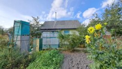 Продаж дачі С/Т Роднічьок Жавинка фото 13 Продаж дачі С/Т Роднічьок Жавинка фото 13