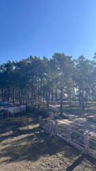 Ексклюзивна пропозиція! Продаж будинку Район Стара Подусівка. фото 22 Ексклюзивна пропозиція! Продаж будинку Район Стара Подусівка. фото 22