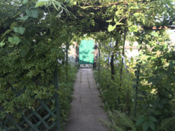 Продаж двохповерхового будинку в с. Киїнка фото 17 Продаж двохповерхового будинку в с. Киїнка фото 17