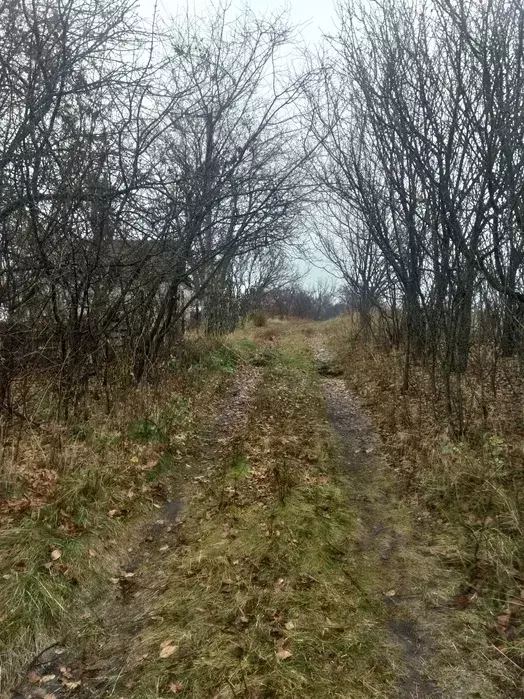 Продается дом С/Т Барвінок, 2 км от конечной Г. Кондратьева, Сумы, Сумская фото 1 Продается дом С/Т Барвінок, 2 км от конечной Г. Кондратьева, Сумы, Сумская фото 1