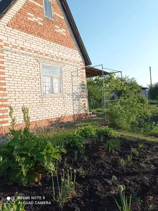 дача на Баранівці фото 1 дача на Баранівці фото 1