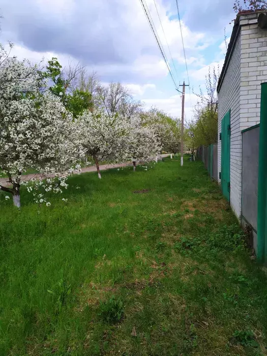 Продается дом Степановка, Сумский, Сумская фото 1 Продается дом Степановка, Сумский, Сумская фото 1