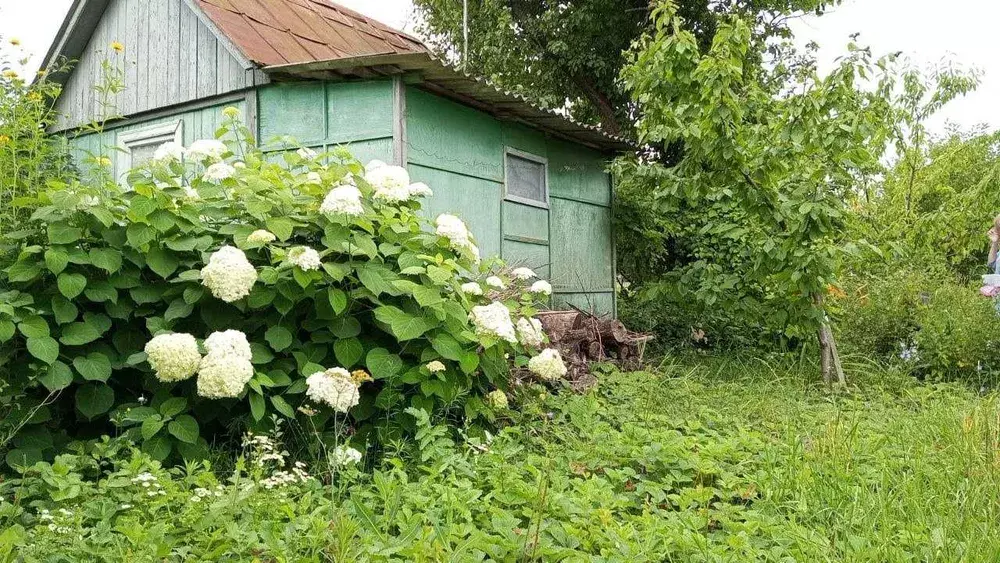 ��������� ��� ������������ ����� �/� ����������, ����, �������, ������������ ���� 1