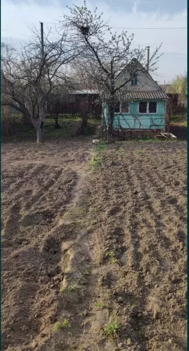 ��������� ��� �������� �����, �-� ���������, ����, �������, �������� ���� 1