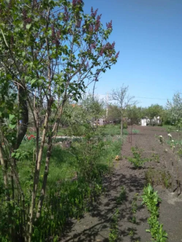 Продается дом Сумская, Сумы, Заречный фото 1 Продается дом Сумская, Сумы, Заречный фото 1