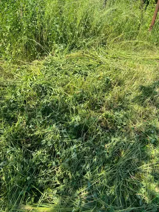 ��������� ��� ������������ ���� �/� ����������, ����, �������, ������������ ���� 1