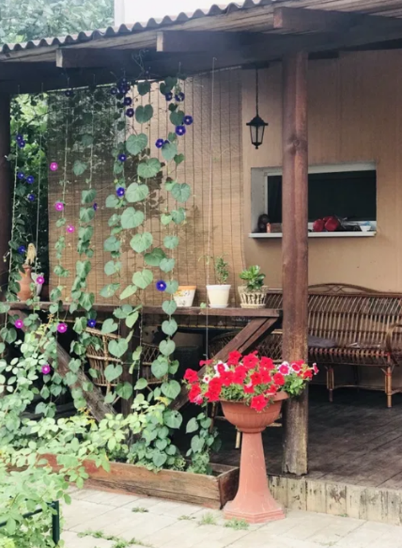 Продается дом Сумская, Сумы, Заречный фото 1 Продается дом Сумская, Сумы, Заречный фото 1