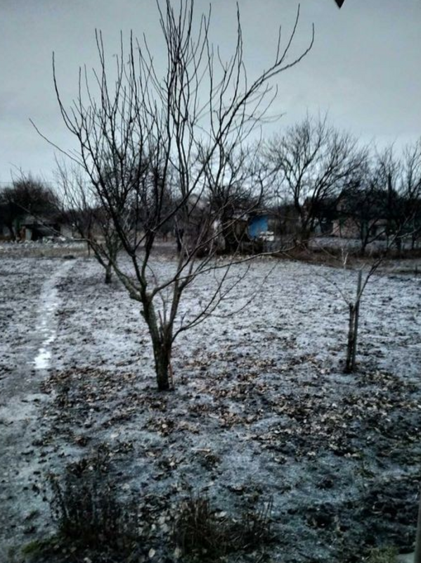 Продается дом Сумская, Сумы фото 1 Продается дом Сумская, Сумы фото 1