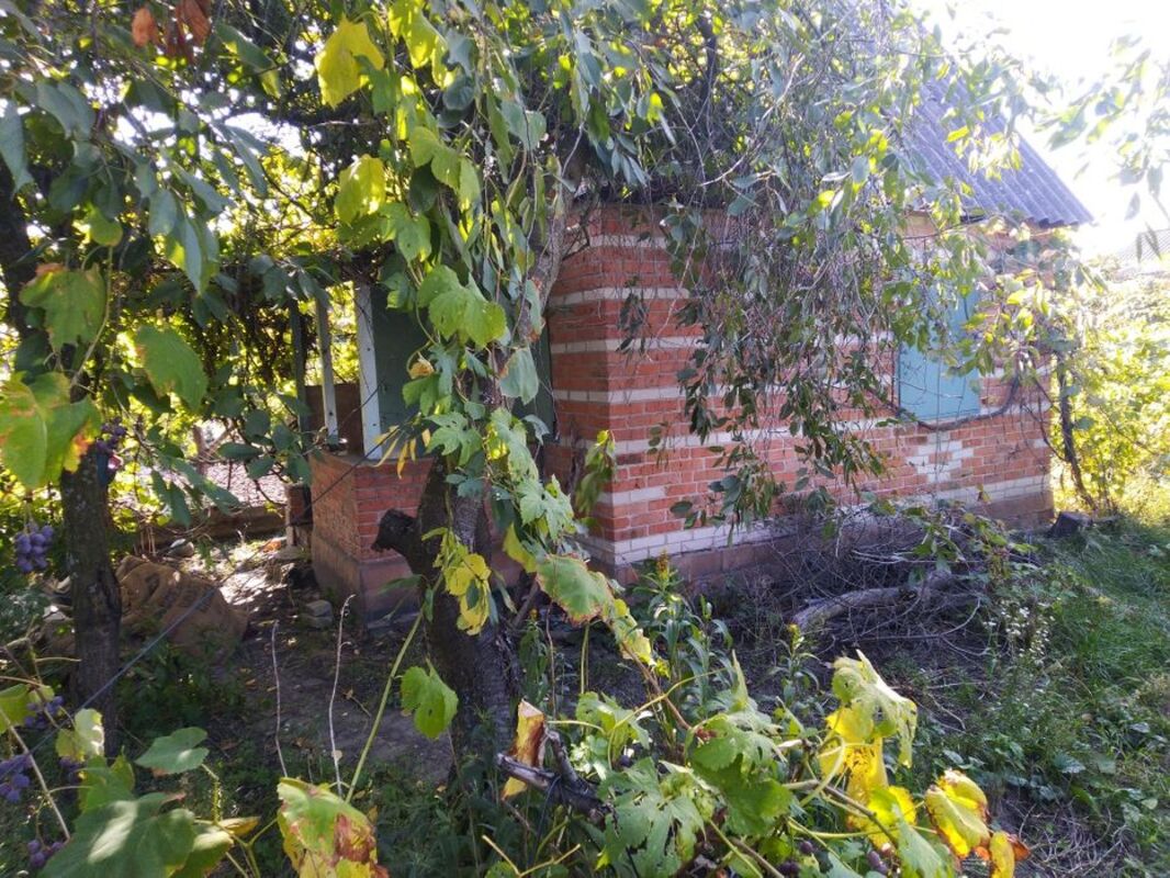 Продается дача Лука фото 1 Продается дача Лука фото 1