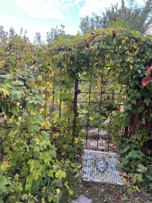 ��������� ��� �/� ճ��, ����, �������, �������� ���� 1