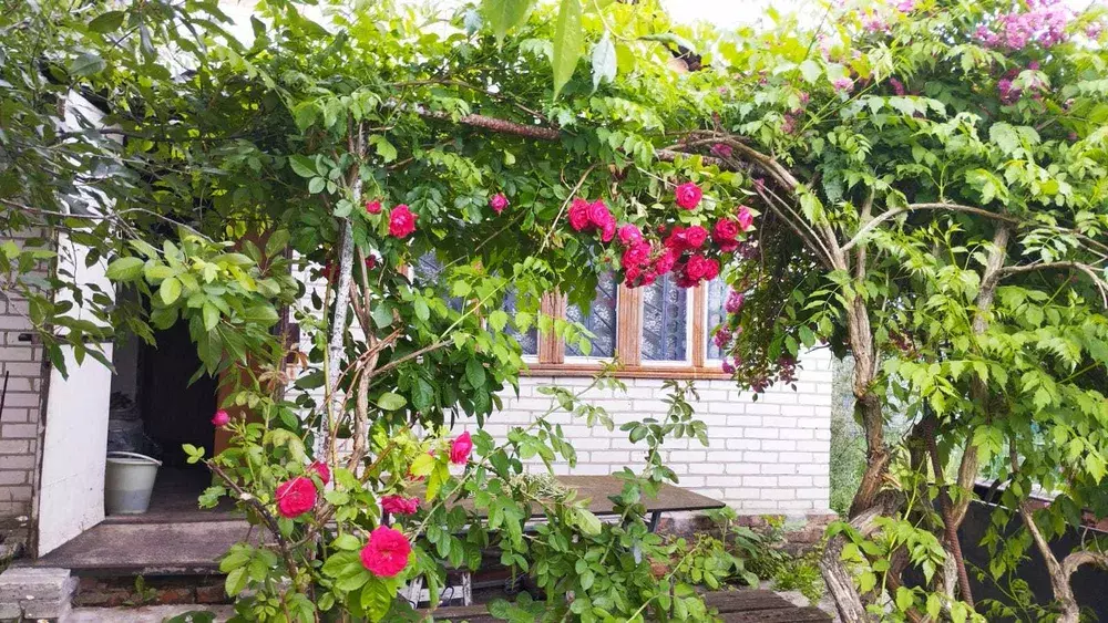 Продается дом Сумская, Сумы, Ковпаковский, Білопільський шлях, с/т Фрунзенець фото 1 Продается дом Сумская, Сумы, Ковпаковский, Білопільський шлях, с/т Фрунзенець фото 1