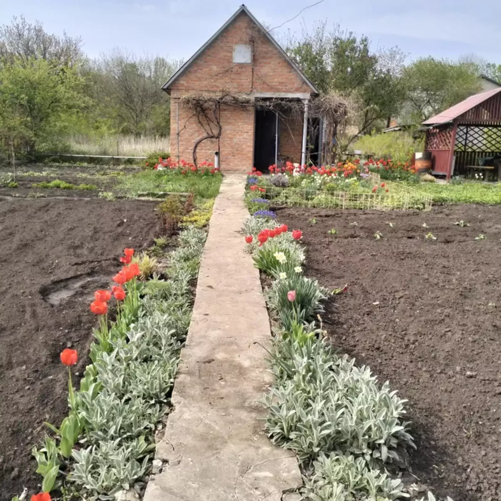 Продается дом Сумская, Сумы, Ковпаковский, Роменська траса с/т Маяк фото 1 Продается дом Сумская, Сумы, Ковпаковский, Роменська траса с/т Маяк фото 1