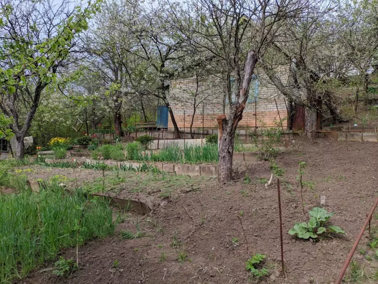 дача в р-ні Аеропорту фото 1 дача в р-ні Аеропорту фото 1